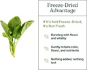 eclectic-herb---spinach-powder-supplemen-5.jpg