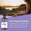 vimergy-zinc-115ml-and-kids-zinc-55ml----2.jpg