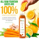 1-day-juice-cleanse-by-raw-fountain-all--3.jpg