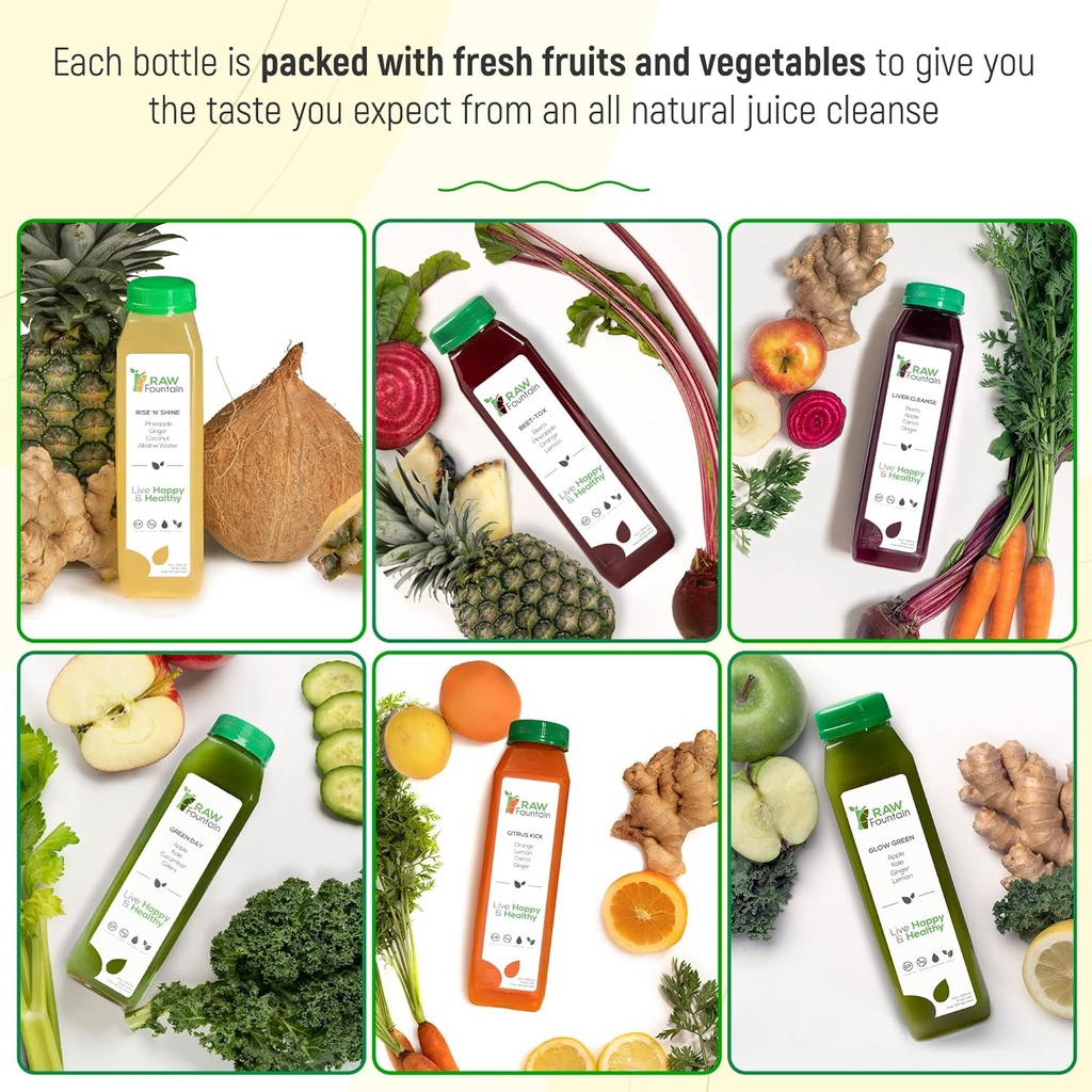 1-day-juice-cleanse-by-raw-fountain-all--5.jpg