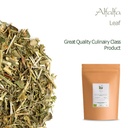 alfalfa-herb-organic-medicago-sativa---l-3.jpg