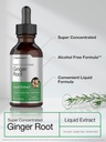horbaach-ginger-root-extract-liquid-2-oz-3.jpg