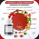 berberine-ceylon-cinnamon---all-in-1-sup-4.jpg