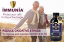 immunia-67-polyphenols---elderberry-conc-4.jpg