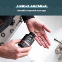 ancient-nutrition-probiotics-for-women-o-3.jpg
