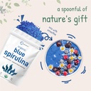 organic-blue-spirulina-powder-phycocyani-4.jpg