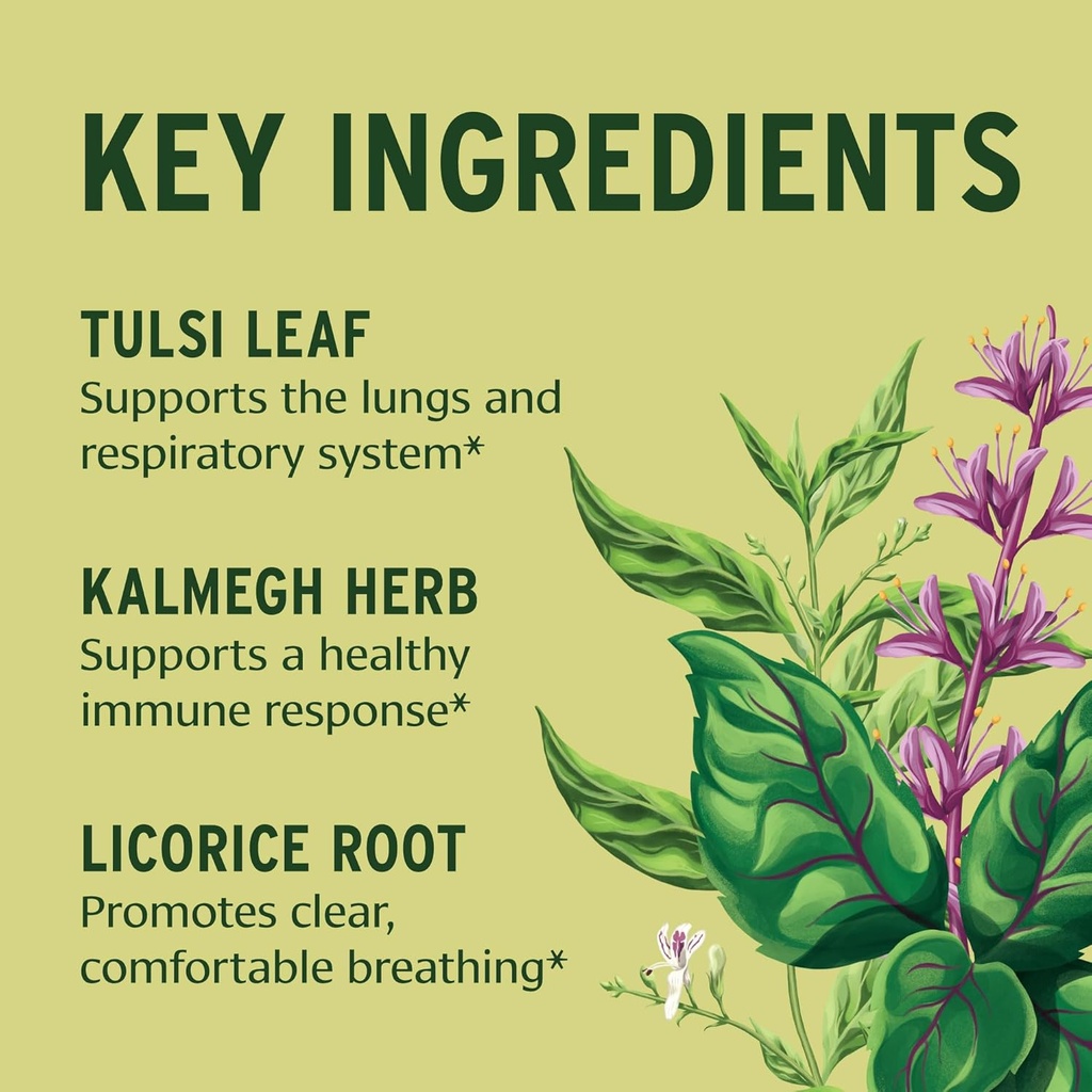 banyan-botanicals-immune-strong-organic--2.jpg