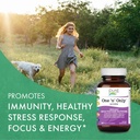 pure-essence-labs-one-n-only-multivitami-3.jpg