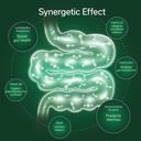 digestive-health-support-for-travelers-s-4.jpg