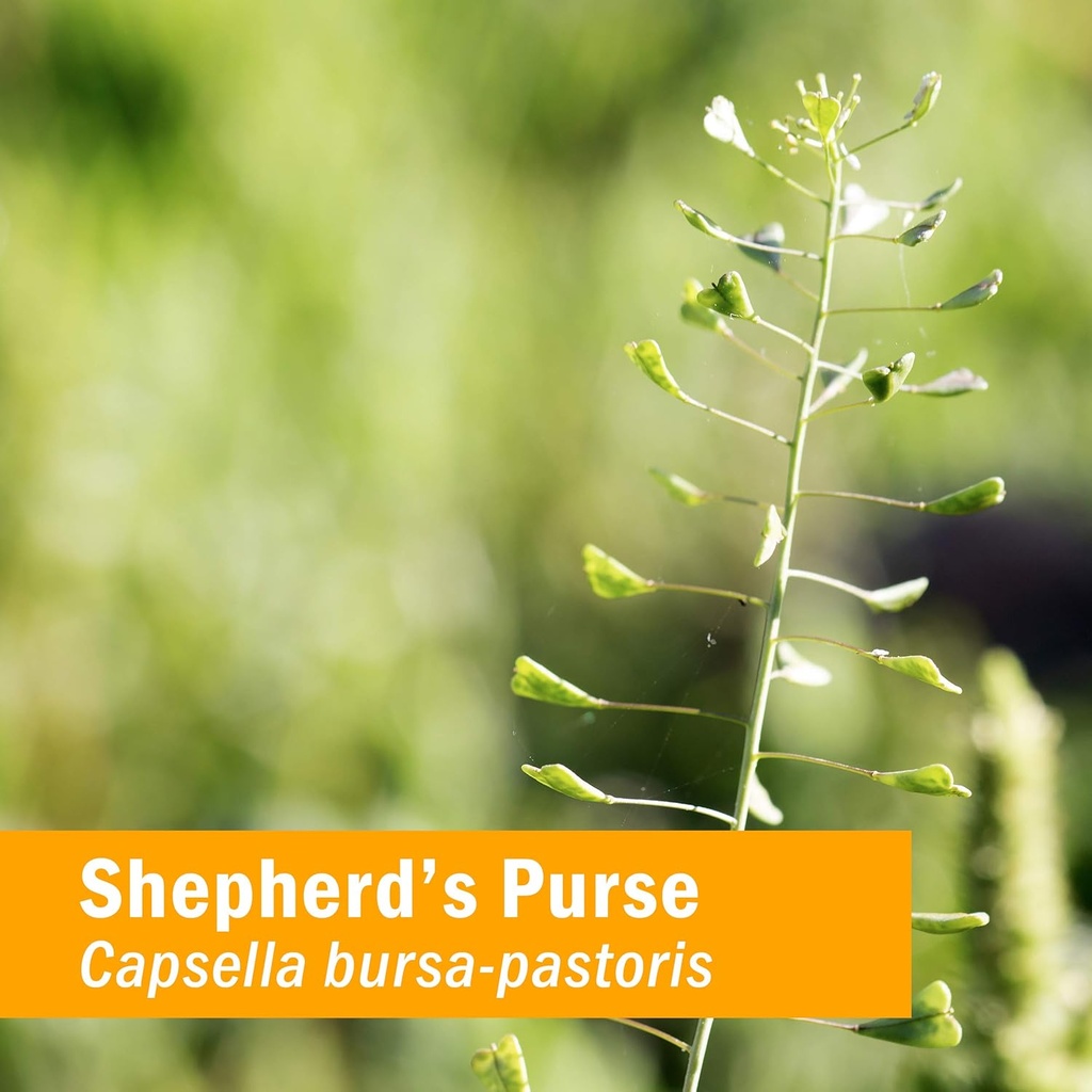 herb-pharm-certified-organic-shepherds-p-2.jpg