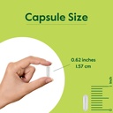 bestvite-huperzine-a-200mcg-240-vegetari-5.jpg