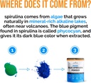 lone-star-botanicals-organic-blue-spirul-6.jpg