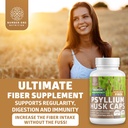 number-one-nutrition-n1n-premium-psylliu-3.jpg