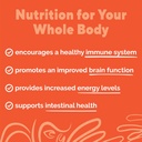 organic-mushroom-powder-blend---reishi-l-4.jpg