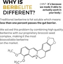 mara-labs-berbelite-350mg-berberine-hcl--6.jpg