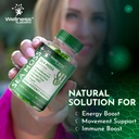 wellness-labsrx-sea-moss-gummies-3200mg--4.jpg