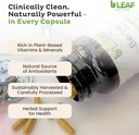 bleaf-nature-berberine-phytosome-120-cap-6.jpg