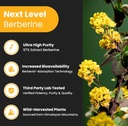 nutrachamps-complete-kidney-health-berbe-5.jpg