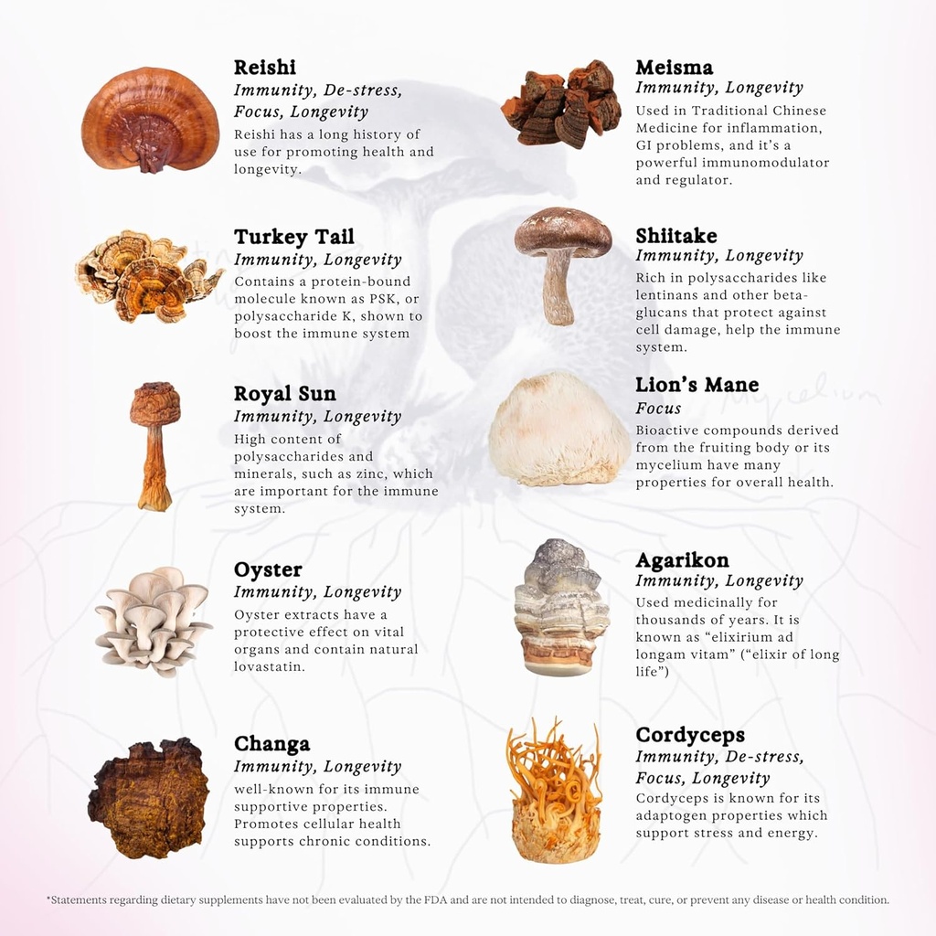 rainbo---1111-multi-mushroom-tincture----3.jpg