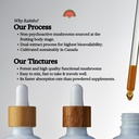 rainbo---1111-multi-mushroom-tincture----6.jpg