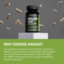 mullein-leaf-capsules-for-respiratory-he-5.jpg