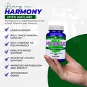 the-food-movement-co-moringa---certified-5.jpg