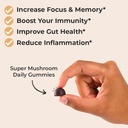 auri-immune-support-stress-management-bu-3.jpg