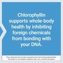 life-extension-chlorophyllin-antioxidant-6.jpg