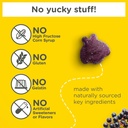 zarbees-kids-elderberry-immune-support-s-3.jpg