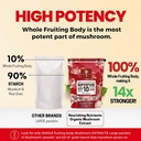 organic-mushroom-powder-extract--superfo-2.jpg