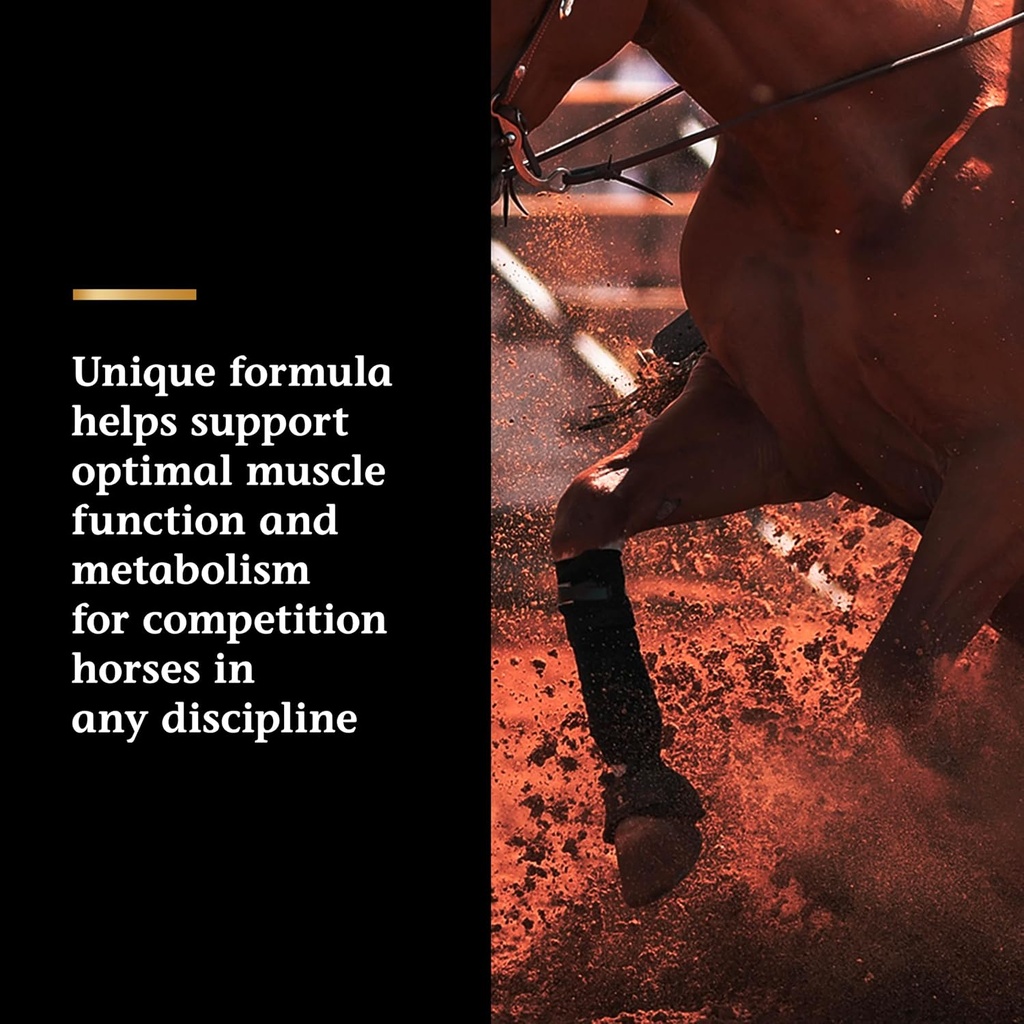 vita-flex-pro-lactanase-pre-performance--3.jpg