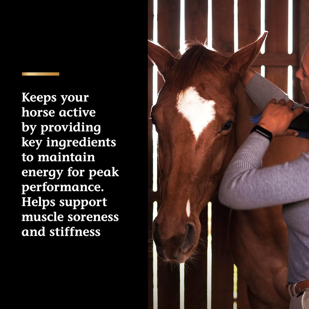 vita-flex-pro-lactanase-pre-performance--4.jpg