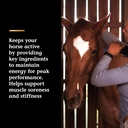 vita-flex-pro-lactanase-pre-performance--4.jpg