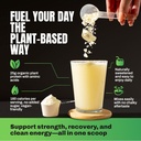 vedge-vegan-protein-powder---plant-prote-4.jpg