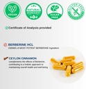 vinatura-berberine-1500mg---berberine-su-3.jpg