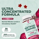 purepremium-beet-root-gummies---60-sugar-2.jpg