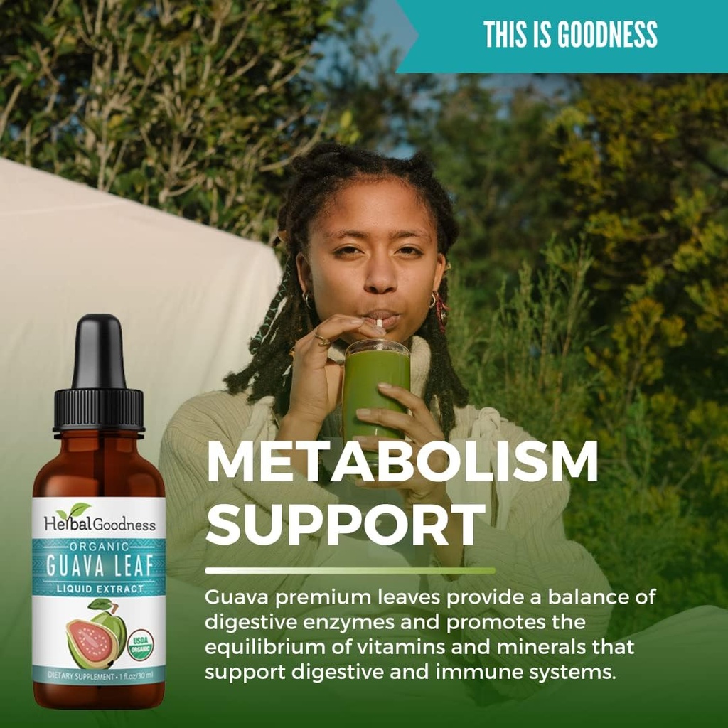 guava-leaf-extract---natural-guava-leaf--3.jpg