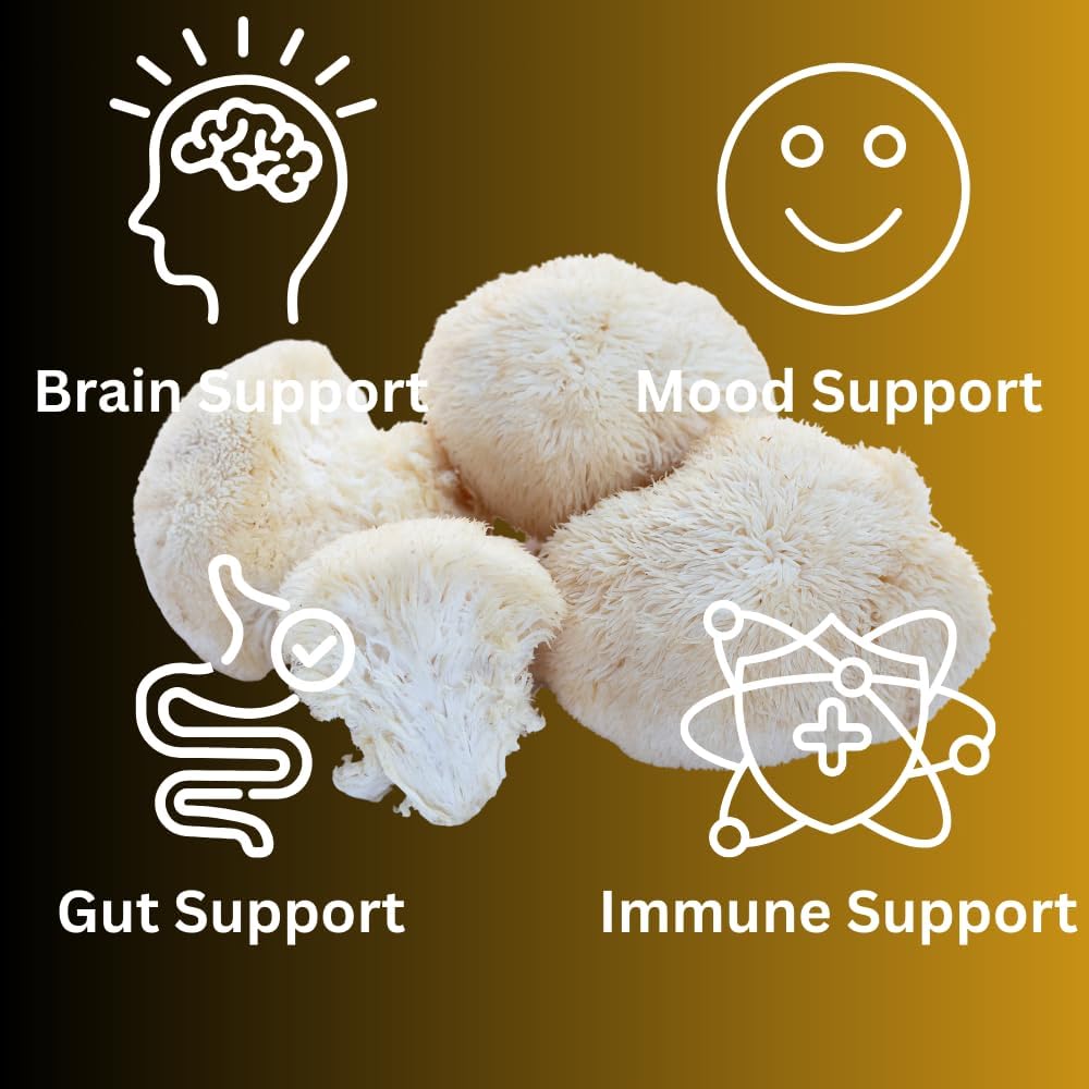 lions-mane-tincture-high-potency-double--4.jpg