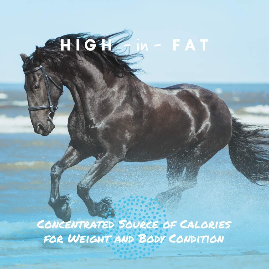 manna-pro-cool-calories-100-equine-fat-s-4.jpg