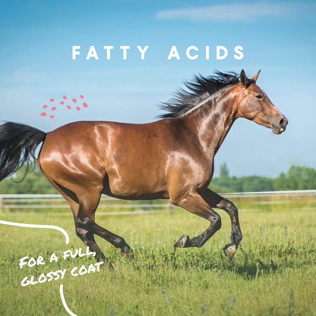 manna-pro-cool-calories-100-equine-fat-s-5.jpg
