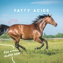 manna-pro-cool-calories-100-equine-fat-s-5.jpg