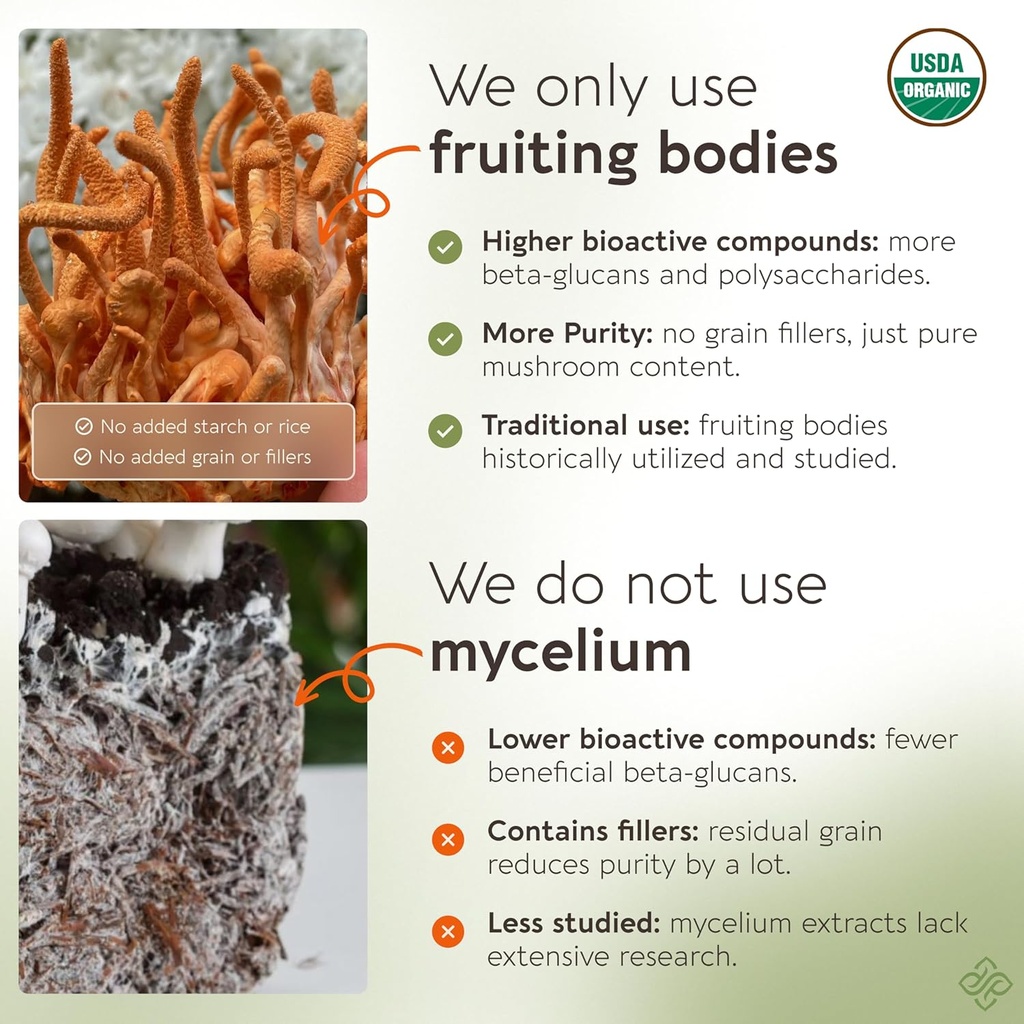 longevity-botanicals-organic-cordyceps-m-3.jpg