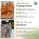 longevity-botanicals-organic-cordyceps-m-3.jpg