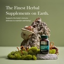 gaia-herbs-respiratory-mushroom-blend----2.jpg