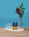herb-pharm-asian-panax-ginseng-liquid-ex-4.jpg