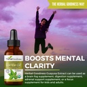 guayusa-leaf-extract-brain-focus---natur-3.jpg