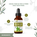guayusa-leaf-extract-brain-focus---natur-6.jpg