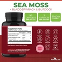 forestleaf-organic-irish-sea-moss-capsul-3.jpg