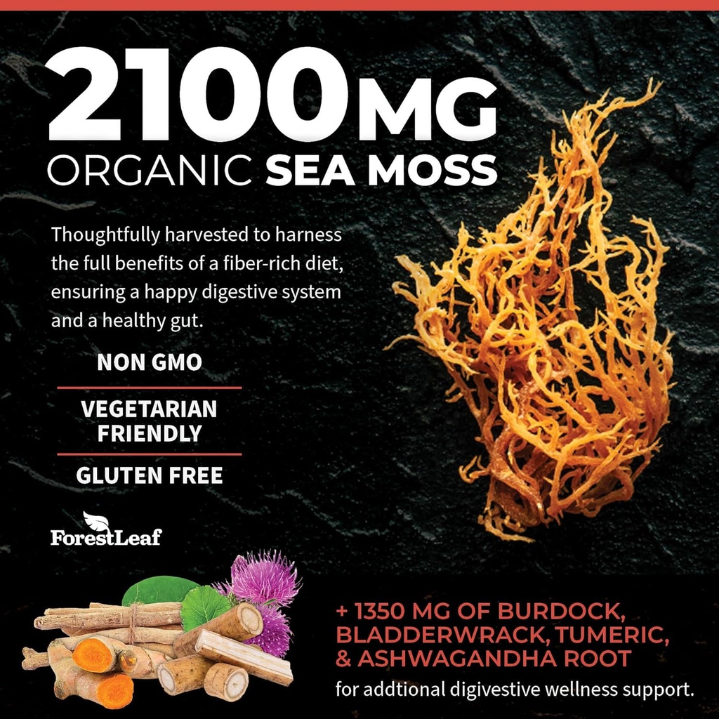 forestleaf-organic-irish-sea-moss-capsul-4.jpg