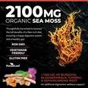 forestleaf-organic-irish-sea-moss-capsul-4.jpg